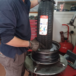 immagine-cambio-gomme-borgia-(11)