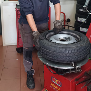 immagine-cambio-gomme-borgia-(12)