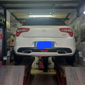 immagine-convergenza-borgia-(4)