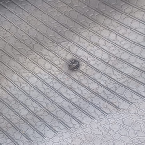 immagine-riparazioni-prenumatici-borgia-(8)